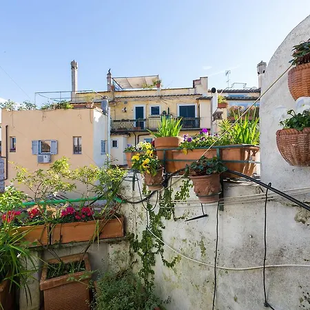 Governo Vecchio 84 With View Appartement